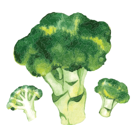 broccoli