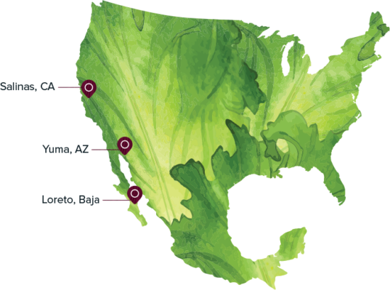 map graphic of Mann Packing's growing regions