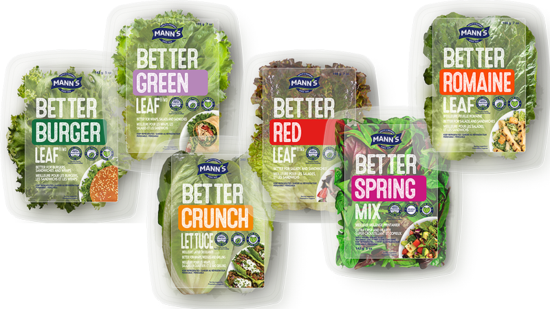 Collage of Better Leaf Lettuce products for Canadian market