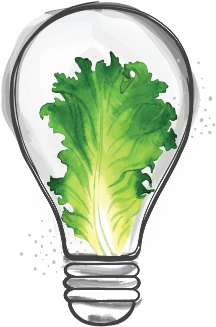 Lettuce in a lightbulb