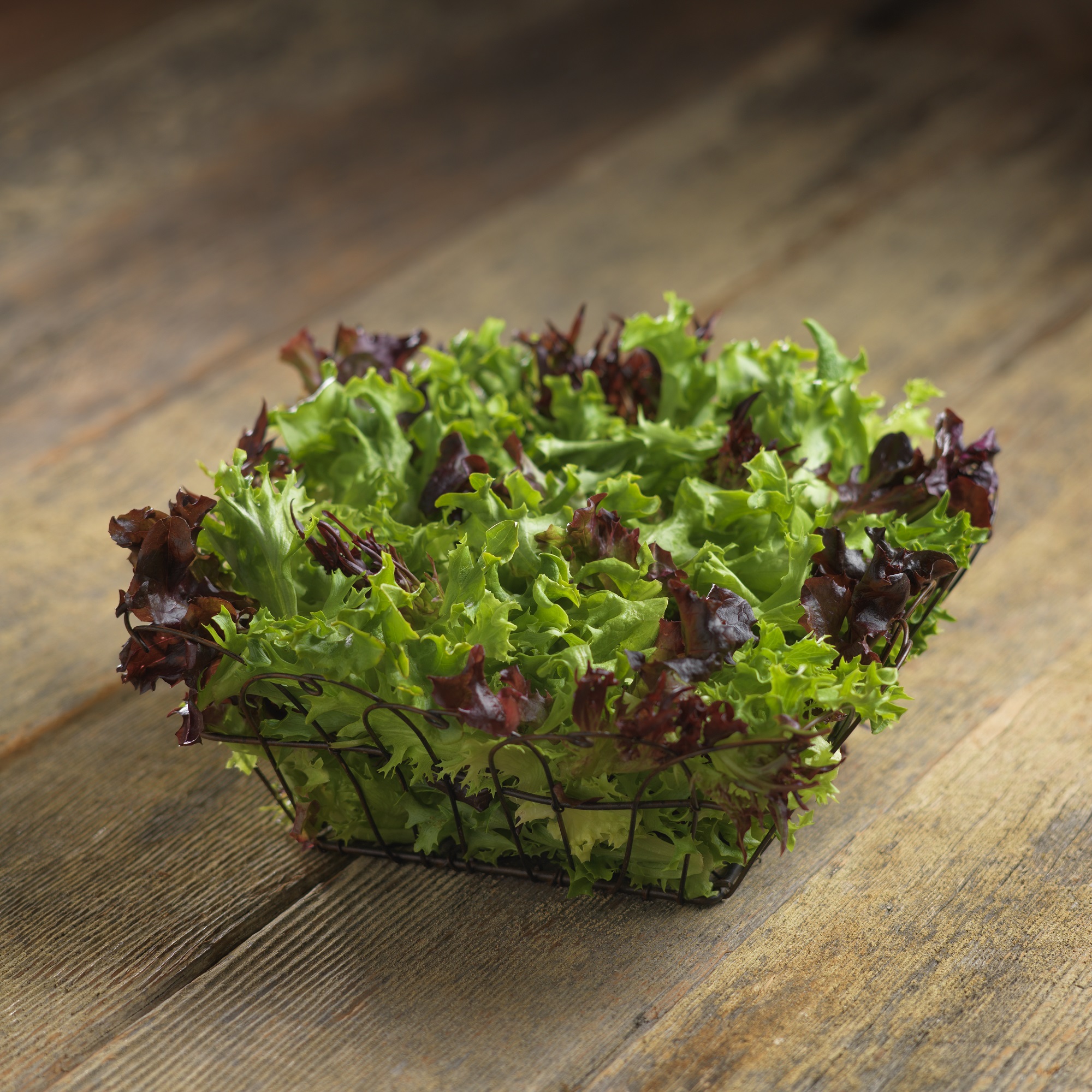 Arcadian Harvest Classic® Foodservice by Mann Packing