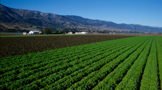 Growing Regions Foodservice By Mann, Salinas Valley Landscaping Ca