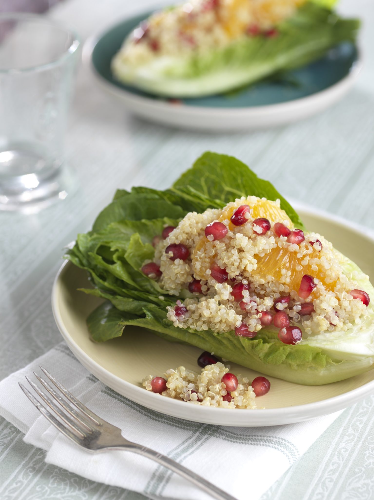 RomaCrunch® Quinoa Salad with Citrus & Pomegranate - Foodservice by Mann Packing