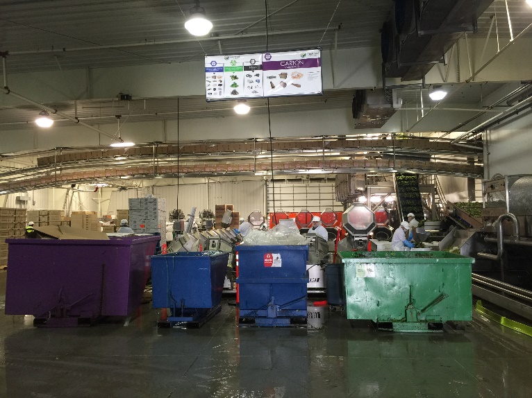 Mann's Sustainability