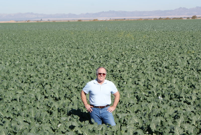 Vessey and Compay Farms